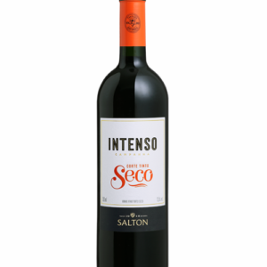 Vinho Salton Intenso Corte Seco 750 ML