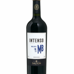 Vinho Salton Intenso Malbec 750 ML